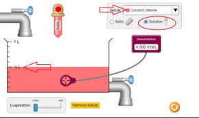 Into the tank as shown: Concentration Phet Google Form Worksheet Distance Learning By Andrea Kirk