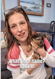 Yorkie Puppy Name Reveal and Healthy Dog Biscuit Recipe