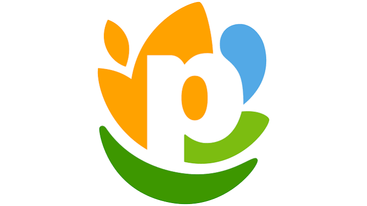 Logo PepsiCo USA
