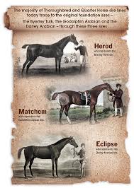 He was retired from racing because no horse owners were willing to race their horses against him. A Common Bond Speedhorse Magazine Your Global Connection To Quarter Horse Racing