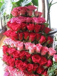 Chudesnyj Buket Roz Flower Arrangements Rose Bouquet Flowers Bouquet