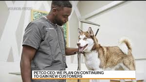 What are the basic hiring criteria at petco? Petco Ceo Says They Can T Keep Up With Demand Bloomberg