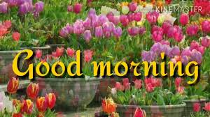 Good morning wishing you a wonderful day flower quote. Good Morning Beautiful Video 2017 India Youtube