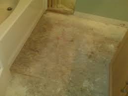 Before getting to the actual mold, remove all the moisture that's in your carpet. Black Mold On Plywood Subfloor Diy Home Improvement Forum