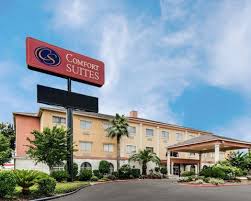 Comfort Suites Kingwood Houston North Humble Tx Hotel