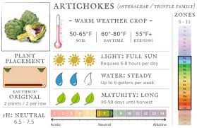 When to plant zucchini in colorado. Earthbox Growing Guides Grow With Us