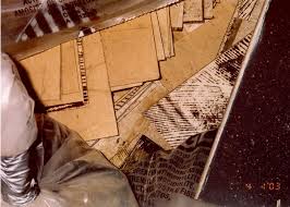 Asbestos removal and deep clean specialist Asbestos Floor Tile Removal Guidance Photographs Eh Minnesota Department Of Health