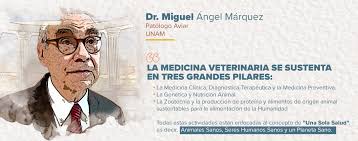 Entra en mundoanimalia y ve todos los veterinarios de perú. Dia Mundial Del Veterinario Una Profesion Que Trabaja Con Un Objetivo Una Sola Salud