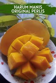 Syukur pak mertua kirim mangga dari sana. Harum Manis Perlis Gred A 3kg