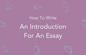 How To Write An Essay Introduction In 2020 Writing Introductions Essay Writing Essay