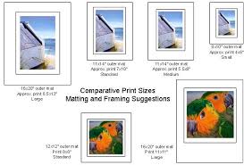 Picture Sizes Chart Sizes Given Are Approximate So That