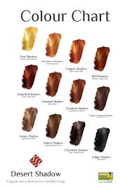 28 albums of garnier nutrisse hair color chart explore