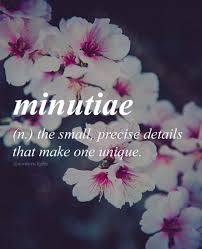 Pin By Cyril Paulose On Glossario Uncommon Words Uncommon Words Definition Unusual Words