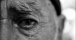 مجله سرگرمی | زمزار | تفریح و سرگرمی - Part 35