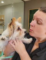 Teddy visited his new groomer. She is great! I so love my little boy <3