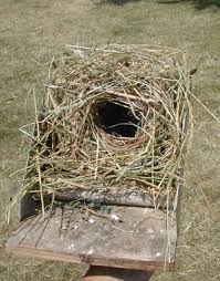 These birds combine mud pellets with grass, bark, hair or feathers to prepare nests. Examine A Nest To Identify Birds