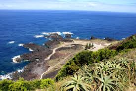 Image result for Ferraria