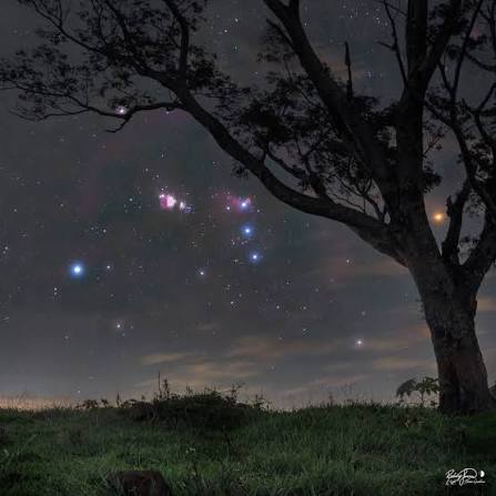 Una de las constelaciones más bellas, gracias a sus estrellas brillantes, y  además visible en ambos hemisferios, Orión es una "joya" astronómica, y uno  de los objetos celestes más indicados para comenzar