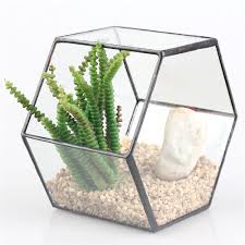 Hang Wall Mount Hexagon Glass Geometric Terrarium Planter Succulent Flower Pot Geometric Terrarium Glass Art Projects Terrarium Decor