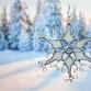 Snowflakes -  Stained Glass Workshop event image