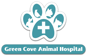 Business profile pet emergency clinic of pitt county, p.c. Experiencing An Emergency Green Cove Animal Hospital