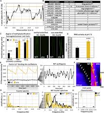 Check spelling or type a new query. The Auxin Regulated Crrlk1l Kinase Erulus Controls Cell Wall Composition During Root Hair Tip Growth Sciencedirect