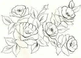 pin on رسمات ورود