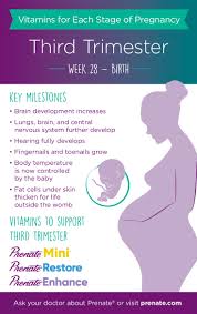 Three trials enrolled women with no acute or chronic diseases; Prenatal Vitamins For Each Stage Of Pregnancy Third Trimester Months 7 To 9 Prenate Vitamin Family