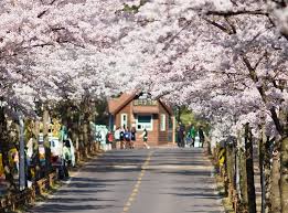 Information for subject wise/post wise interview of teacher's cadre posts 28 aug, 2021; Tim Hiá»ƒu Vá» Khi Háº­u Han Quá»'c Sá»± Khac Biá»‡t So Vá»›i Khi Háº­u Viá»‡t Nam