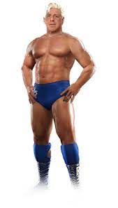 The first version of executioners was founded by executioner #1, who was a masked wrestler, wrestling for world wide wrestling federation.in 1976 he trained executioner #2, and the two became a tag team in wwwf. Ric Flair Crow Land Wikia Fandom