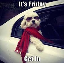 With tenor, maker of gif keyboard, add popular thank god its friday memes animated gifs to your conversations. 12 Hilarious Friday Memes That Will Brighten Up Your Friday