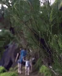 Falling Off Cliff Gifs Tenor This includes videos converted to gif formats. falling off cliff gifs tenor