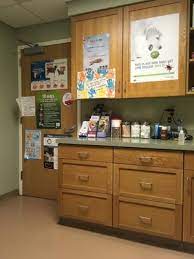 To learn more, or to make an appointment with aurora. Aurora Pet Hospital 31 Photos 12 Reviews Veterinarians 410 Olean Rd East Aurora Ny United States Phone Number