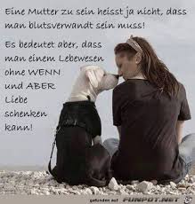 10 Schone Spruche Und Lebensweisheiten Aus Dog Quotes Dog Love Dogs