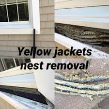 Old island pest control offers professional & affordable pest control services in victoria bc, duncan bc, nanaimo & more. Pest Control In Bay Shore Yelp