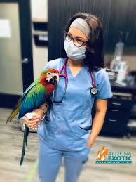 At mesa, we celebrate and nurture the special role your pet has in your life. Employment Arizona Exotic Animal Hospital Veterinary Services
