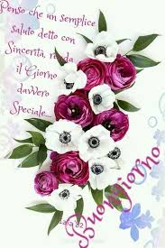 Fiori Le Piu Belle Immagini Per Il Buongiorno Buonanotte E Buon Compleanno Buongiorno Immagini Auguri Di Buongiorno Buongiorno
