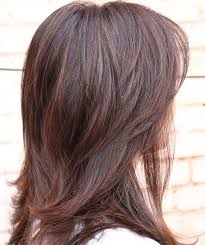 One more thing to make it balder is to add shaved. Medium Length Layered Bob Hairstyles For Thick Hair Folade