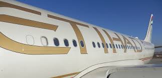 Image result for etihad airbus crash