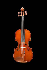 Image result for Viola eminii