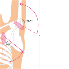 首と肩」のひどいこり＆痛みの原因は、胸と脇の緊張のせいって知ってた？／30秒ストレッチ②