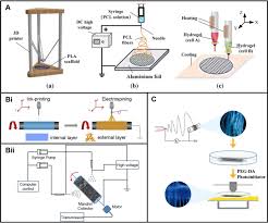 Shop today online, in stores or buy online and pick up in store. 3d Printing Of Tissue Engineering Scaffolds A Focus On Vascular Regeneration Springerlink