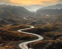 person walking down a winding road