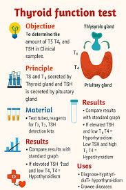 Image result for Thyroid Function Test