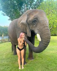 Kathleen Hixson S Feet | My XXX Hot Girl