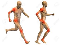 When it's not erect, it measures just 1 to 4 inches. Conceptual 3d Human Man Anatomy Joint Pain Body Isolated Stock Photo Picture And Royalty Free Image Image 34952378