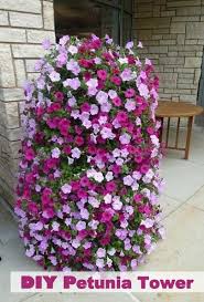 Pin On Garden Ideas