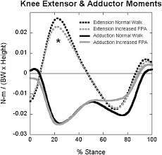 Image result for Foot Progression Angle