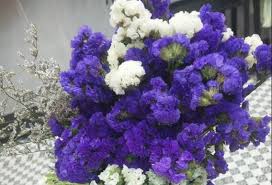 Check spelling or type a new query. How To Deal With Damp And Hairy Dried Flowers Home Decoration Flower Fans