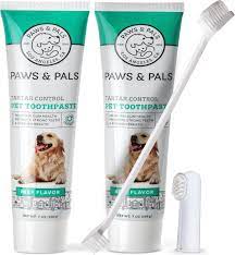 Paws Pals Natural Beef Flavored Dog Toothpaste Toothbrush 2 Count Chewy Com